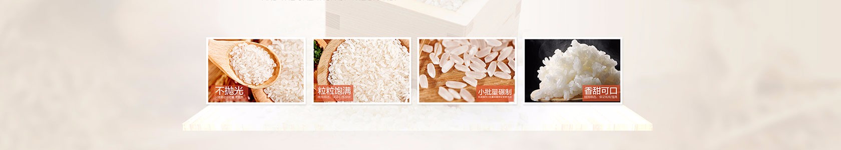 活动策划有限公司企业网站模板